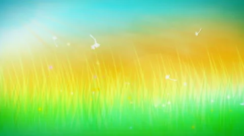 Spring Dandelions Stock Footage 50759078
