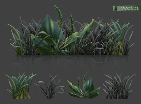 Spring. Dark green grass, 3d realistic vector icon set Stock Illustration