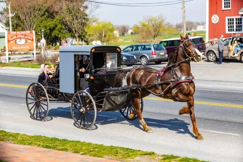 A Spring day in an Amish buggy Stock Photos