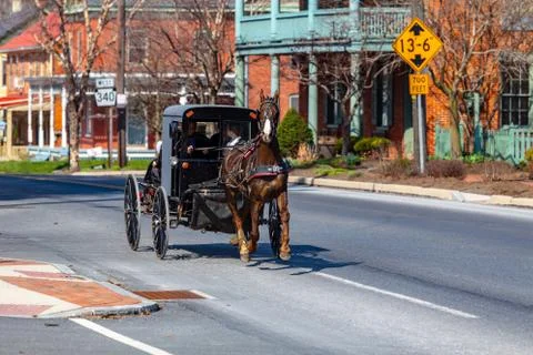 Spring day in an Amish buggy Stock Photos