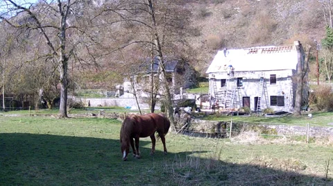 Spring day in the Belgian countryside. Stock Footage 36216831
