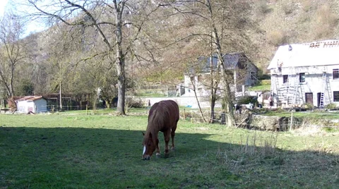 Spring day in the Belgian countryside. Stock Footage 36221259