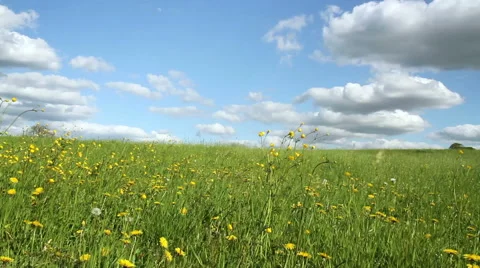 Spring day in the Belgian countryside. Stock Footage 49664307