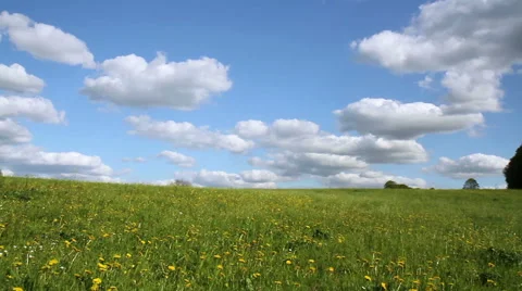Spring day in the Belgian countryside. Stock Footage 49665014