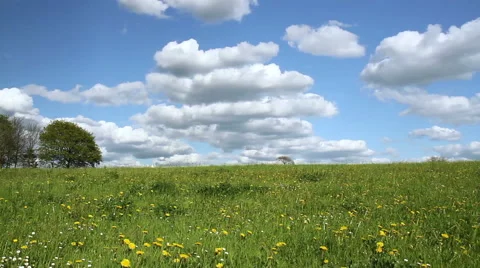 Spring day in the Belgian countryside. Stock Footage 49665253