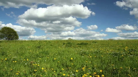 Spring day in the Belgian countryside. Stock Footage 49686235