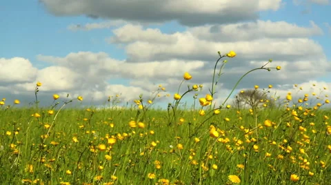 Spring day in the Belgian countryside. Stock Footage 60363241
