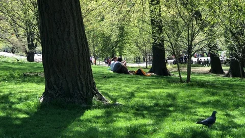 Spring day in Central Park Stock Footage 107161539