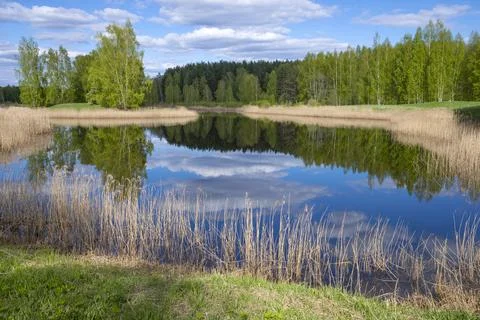 Spring day on a forest lake Stock Photos