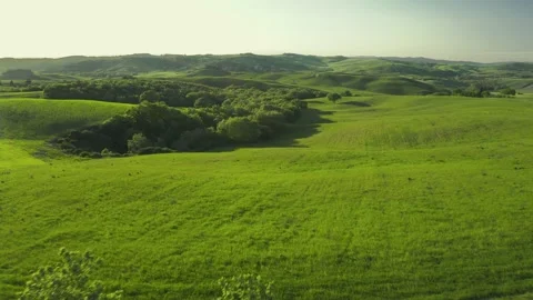 Spring day in the green may Stock Footage 130218229