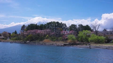 Spring Day in Japan, View of Lake Kawaguchi with Snowy Mt Fuji in Background Stock Footage 339766219