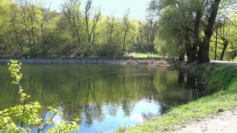 Spring Day at the Lake in the Park Видео 74831384