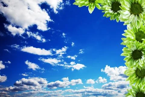 Spring day with nice and fresh flowers Stock Photos