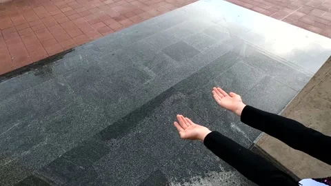 Spring day in the park Stock Footage 155718804