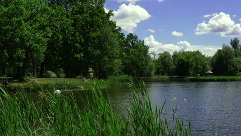 Spring Day In The Park At The Lake. Stock Footage 89913802