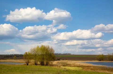 Spring day in steppe Stock Photos