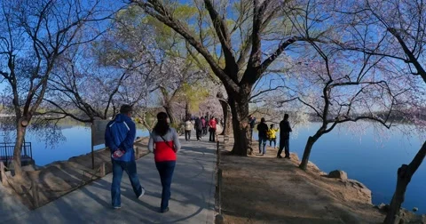 Spring day  in summer palace Video stock 67578718