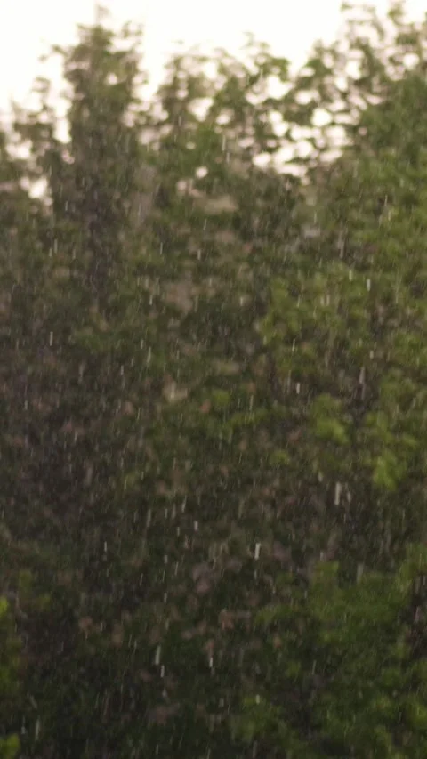 Spring day, thunderstorm in city, strong wind and rain, a downpour with hail. Stock Footage 310107823