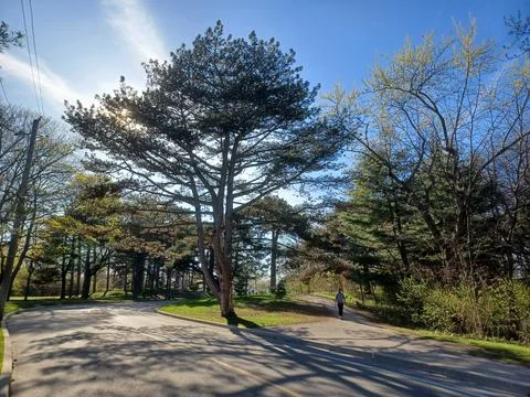Spring Day in Toronto Stock Photos