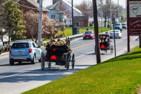 Spring day with two Amish buggies Stock Photos