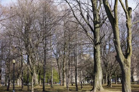 A spring day view in a public park Stock Photos