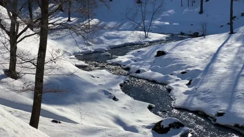 Spring days. The bed of a wild river, a thaw on the street, there is snow on the Stock Footage 171558630
