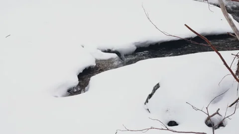 Spring days. The bed of a wild river, there is snow on the shore. 4K Video stock 211711345