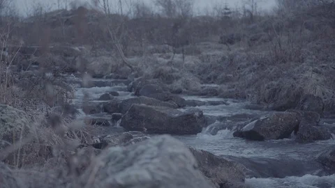 Spring in the dead winter Stock Footage 99047572