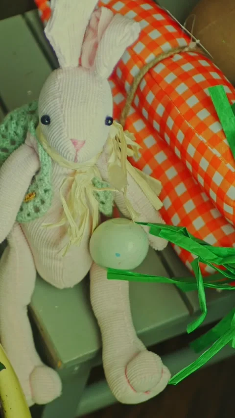 Spring Décor 9:16 Stock Footage 237189185