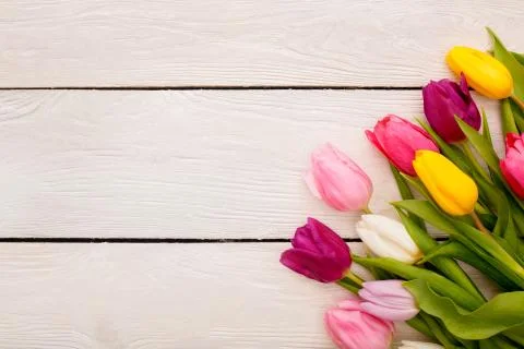 Spring decorations objects isolated on wooden background tulips in the corner 스톡 사진