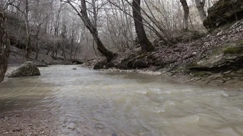 Spring, a deep riverbed with a rocky bottom, a small flow of water Stock Footage 306116565