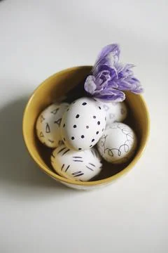 Spring Delights Stock Photos