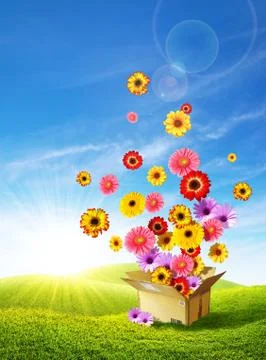 Spring delivery 2 Stock Photos