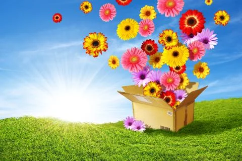 Spring delivery Stock Photos