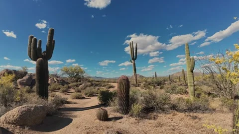 Spring Desert Time-Lapse Footage Along Hiking Trail In Scottsdale AZ Video stock 332017413