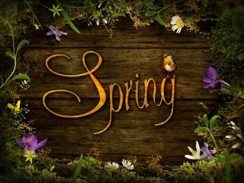 Spring design Stock Photos