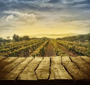 Spring design with vineyard and empty display Stock Photos