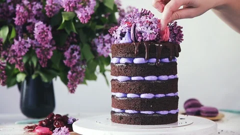 Spring dessert. Stock Footage 102042706