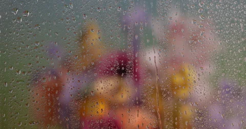Spring Drips 2 Stock Footage 340860452