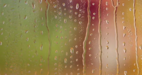 Spring Drips 3 Stock Footage 340860485