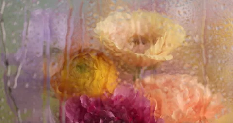 Spring Drips 5 Stock Footage 340860534