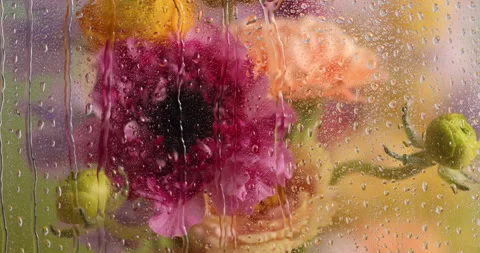 Spring Drips 6 Stock Footage 340860562
