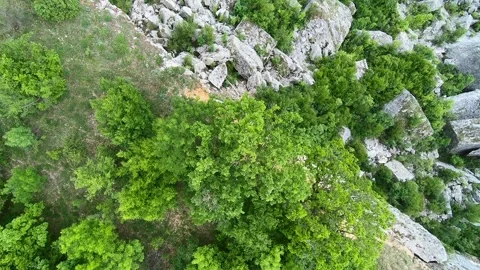 Spring Drone View of Strupanitsa Rock Formation near Karlukovo, 2019 Vídeo Stock 323382887