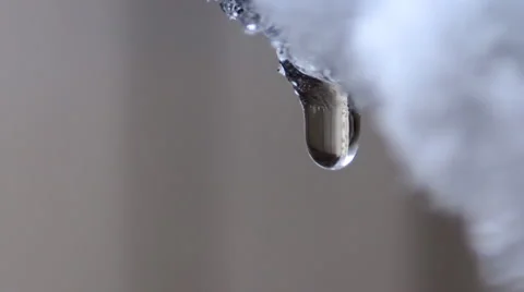 Spring drops a Stock Footage 46624862