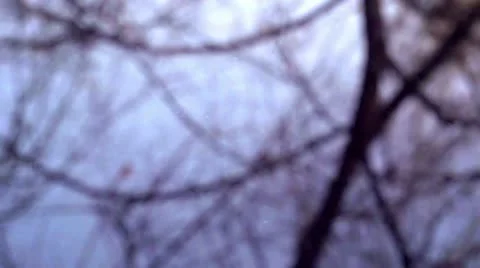 Spring Drops HD Stock Footage 21845033