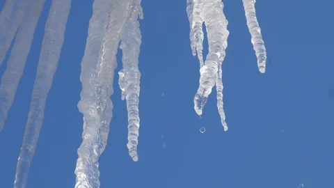 Spring drops, icicles Stock Footage 87338347