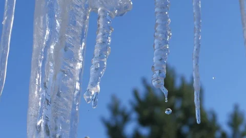Spring drops, icicles Stock Footage 87816762