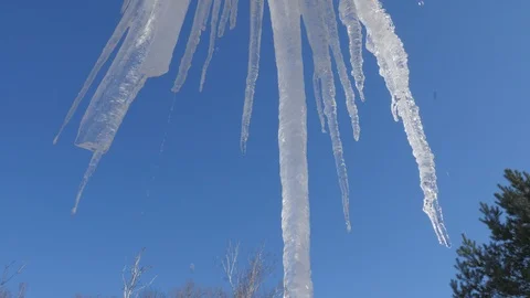 Spring drops, icicles Stock Footage 87817142