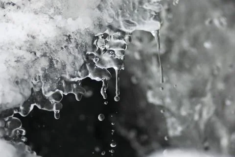 Spring drops from the melt ice Stock Photos