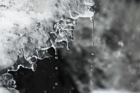Spring drops from the melt ice Stock Photos